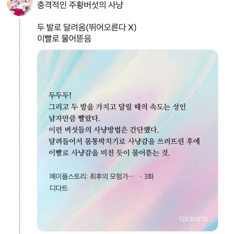 메이플 유저들 충격먹었다는 메이플 "공식" 소설 주황버섯 사냥 방식 | 인스티즈