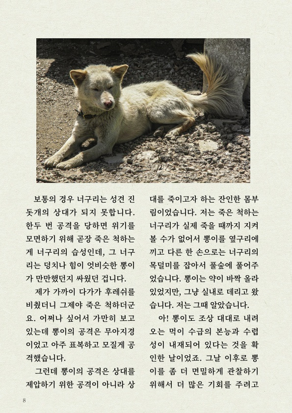 '진돗개' 타고난 감각 지능 | 인스티즈