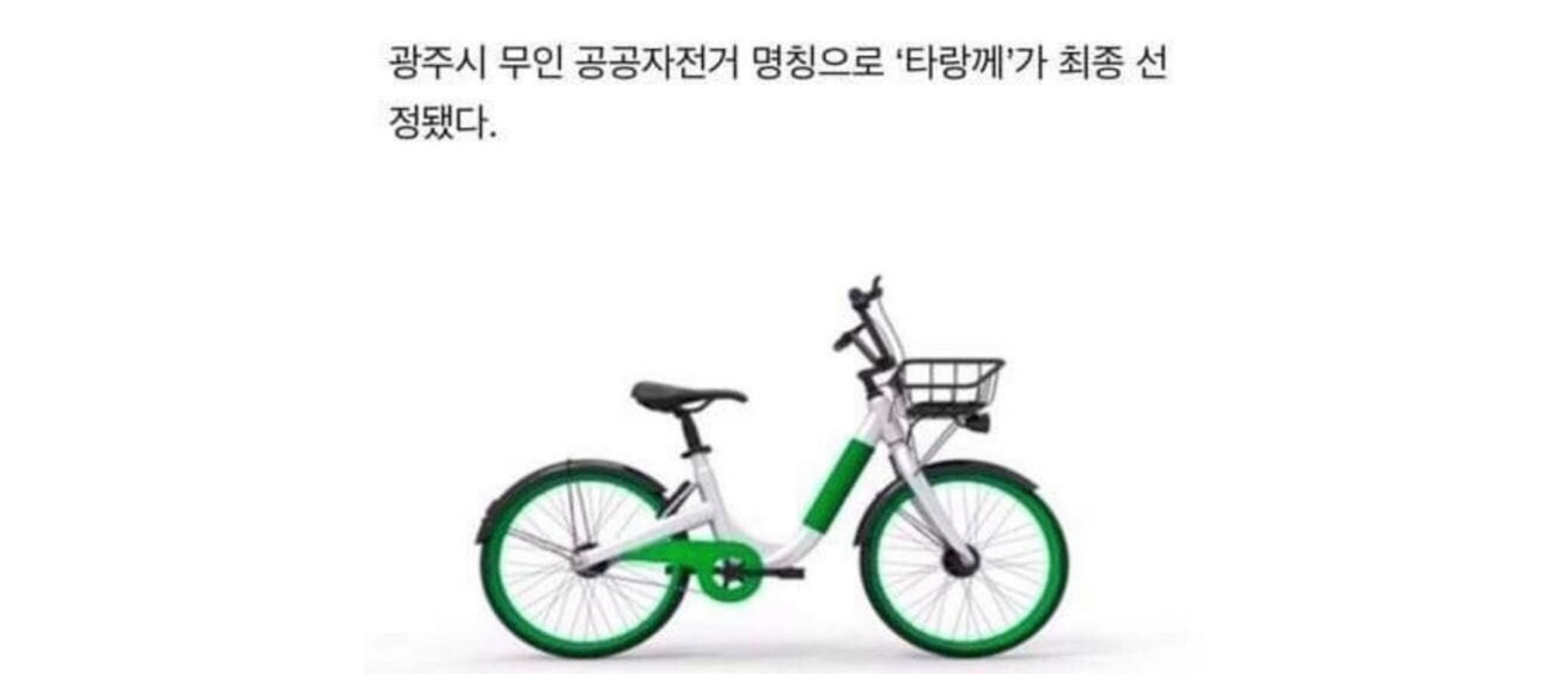 타랑 이미지