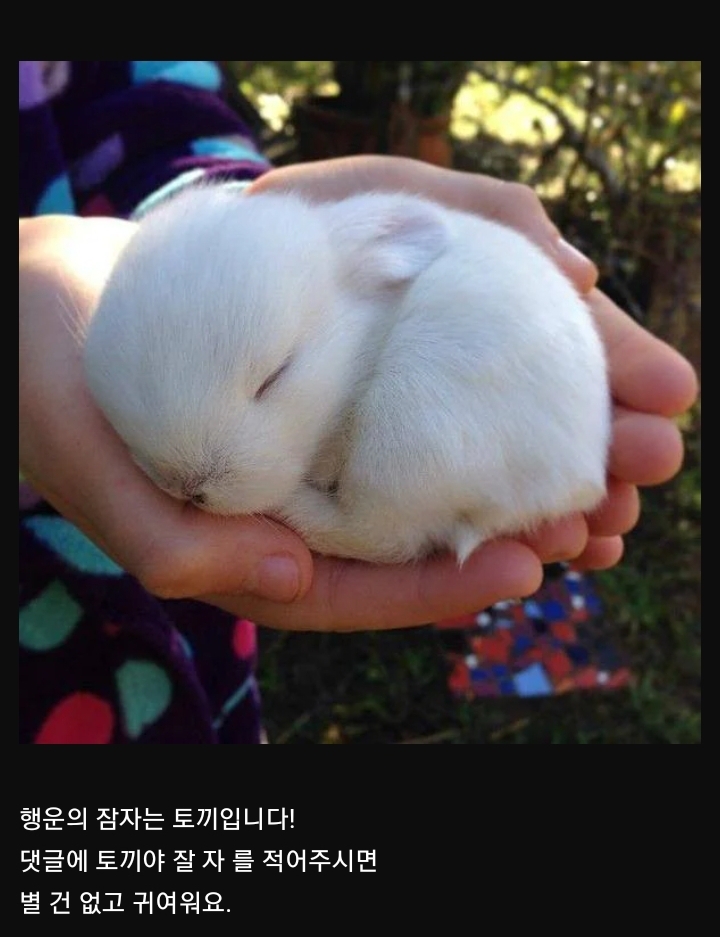 여러분 이걸 보세요 | 인스티즈