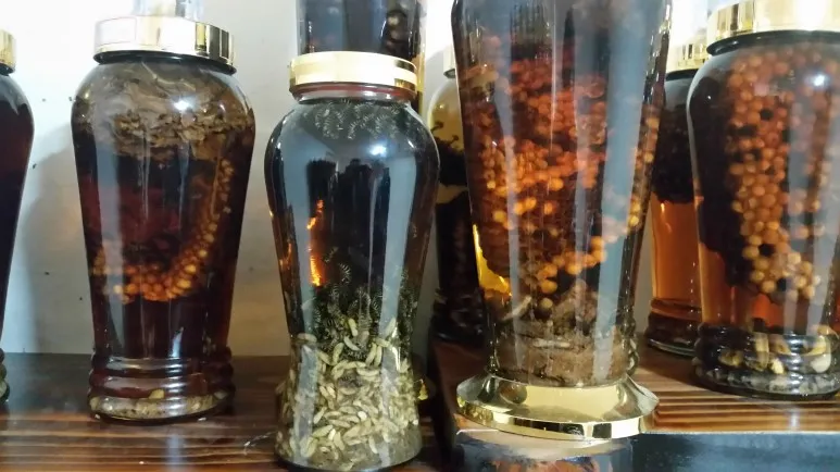 (벌주의) 생각보다 철저한 비즈니스인 관계, 꿀벌 | 인스티즈