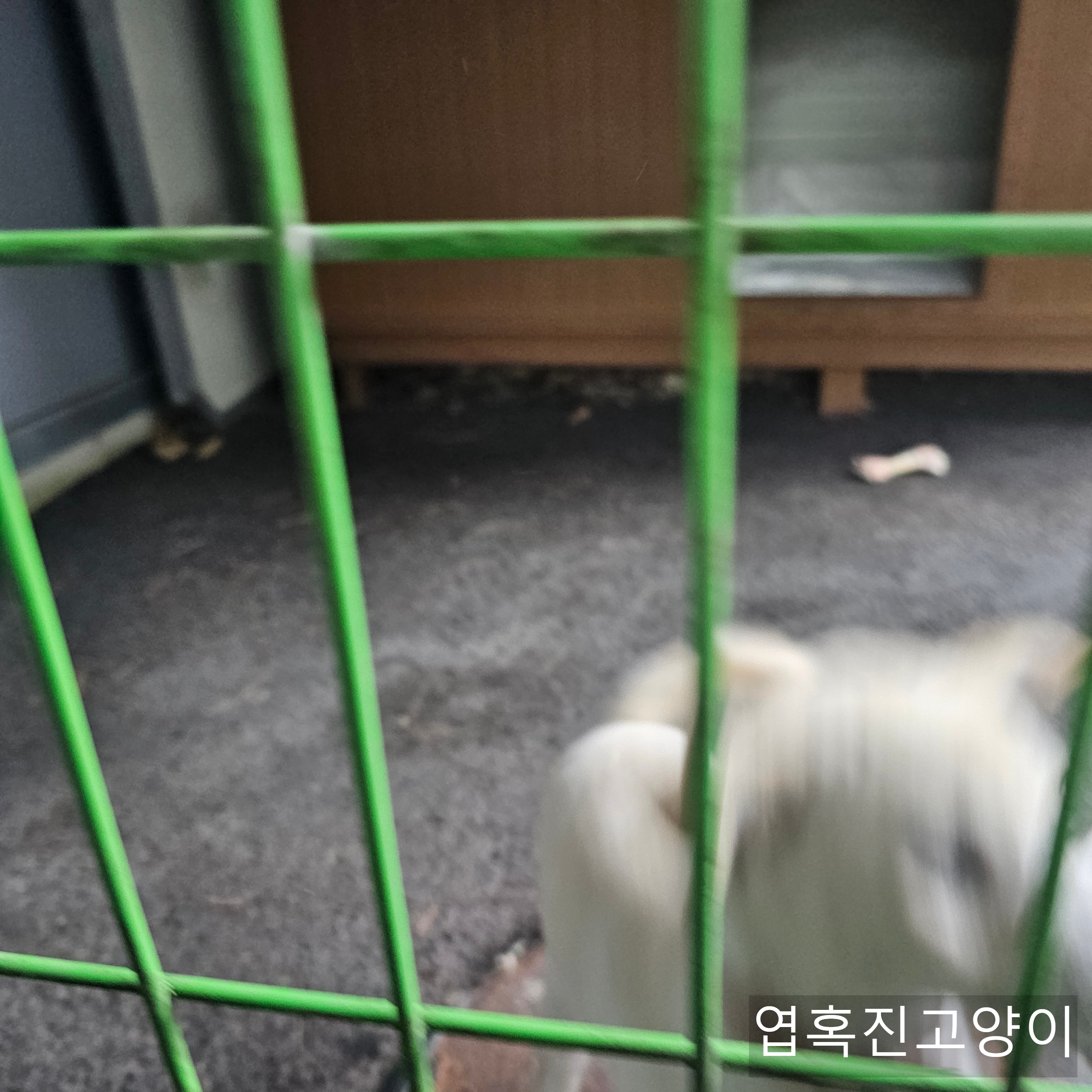 우리회사 복지자랑ㅎ | 인스티즈