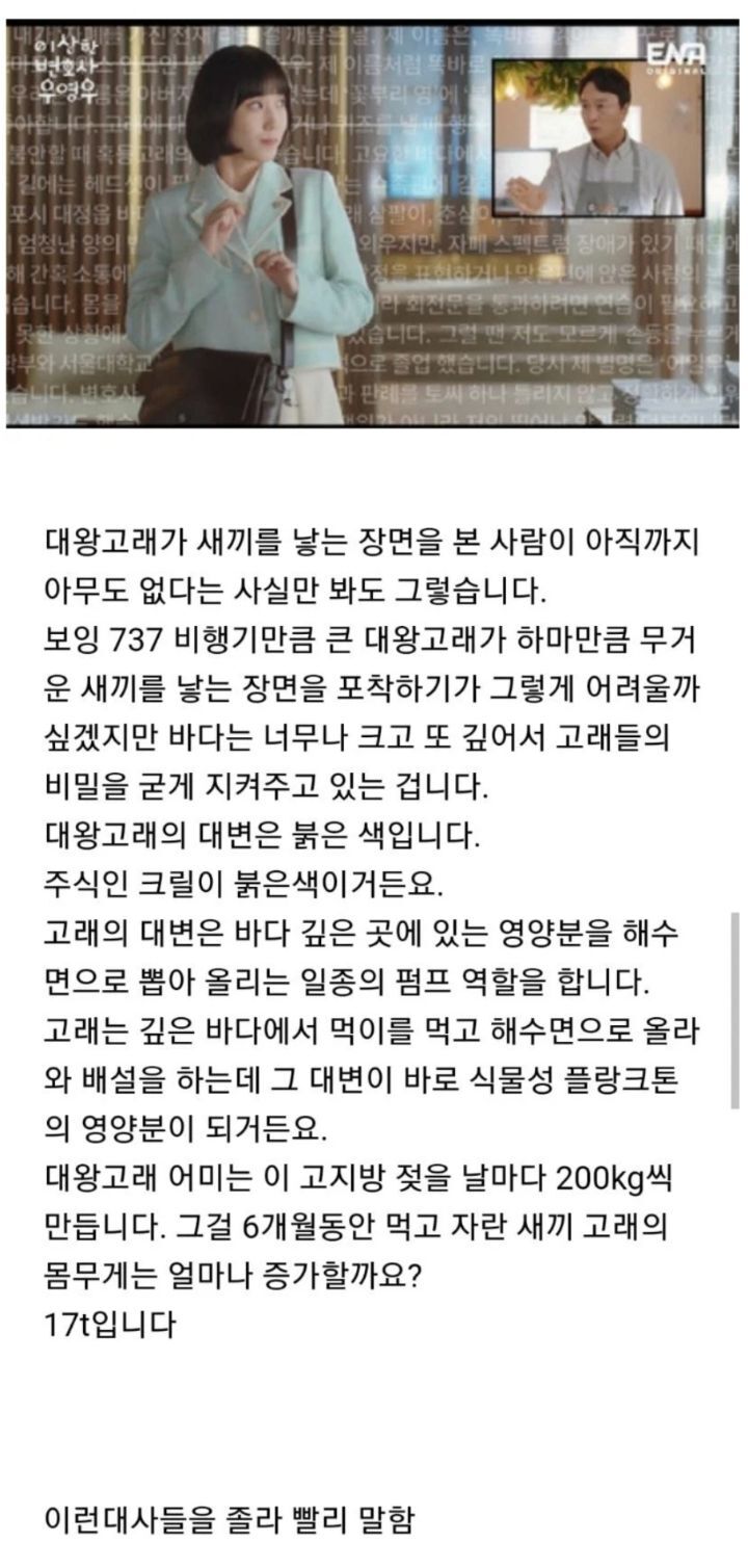 박은빈이 빡센 우영우 대사들을 다 소화할 수 있는 이유 | 인스티즈