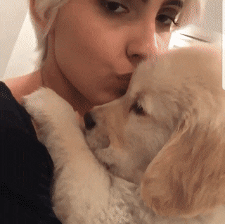 너네 집 강아지 좀 자랐냐?.jpg | 인스티즈