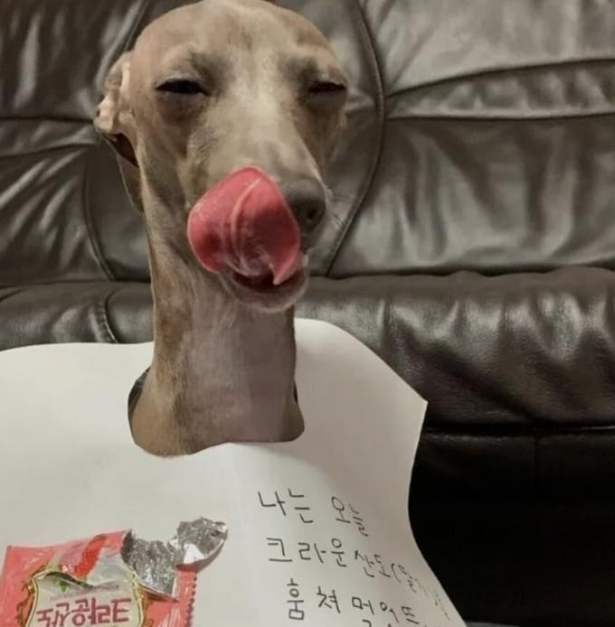 ??:나는 오늘 훔쳐 먹어서 이러고 있읍니다 | 인스티즈