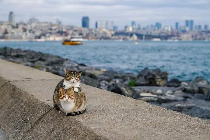 바다에서 찍었는데 웨딩사진 같아 | 인스티즈