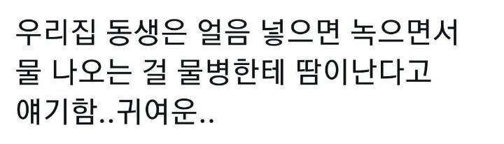 말 배우는 애기들이 쓰는 언어.jpg | 인스티즈