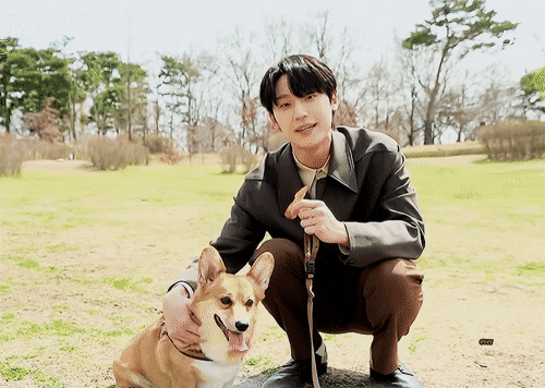 이도현 드라마 촬영장에서 반려견 가을이랑.gif | 인스티즈