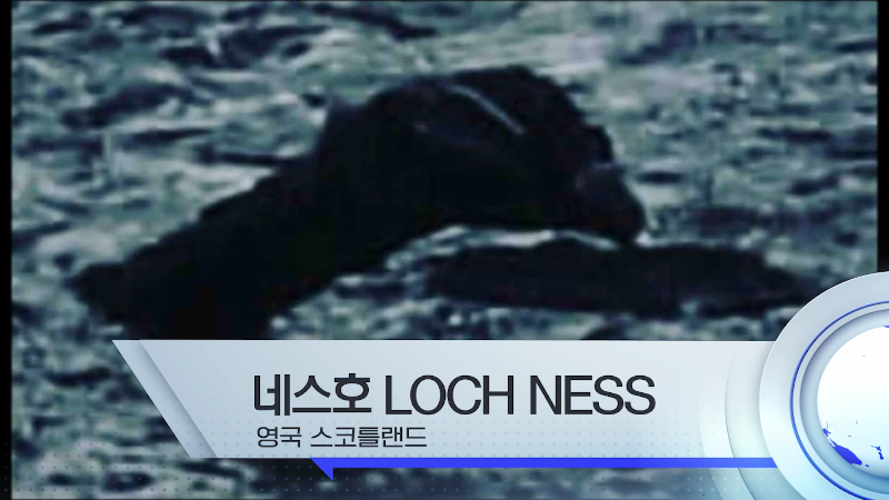 세계각국의 크립티드 영상 모음 | 인스티즈