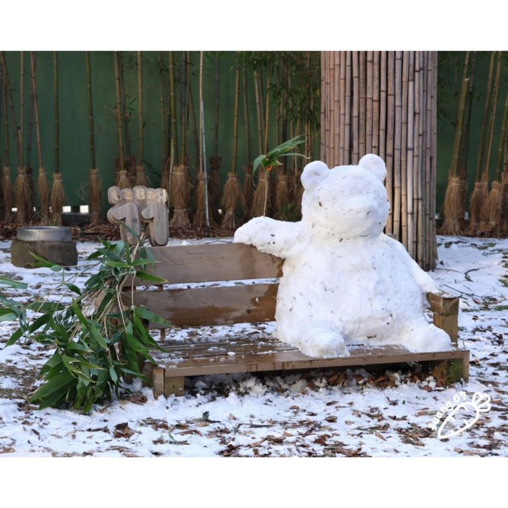 러바오는 나야 둘이 될 순 없어 | 인스티즈