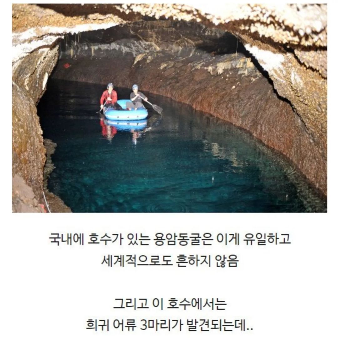 전신주 교체하다가 발견한 세계 | 인스티즈