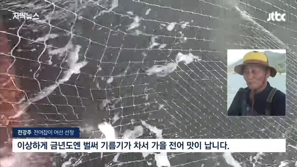 심각하다는 서귀포 바다 근황 | 인스티즈