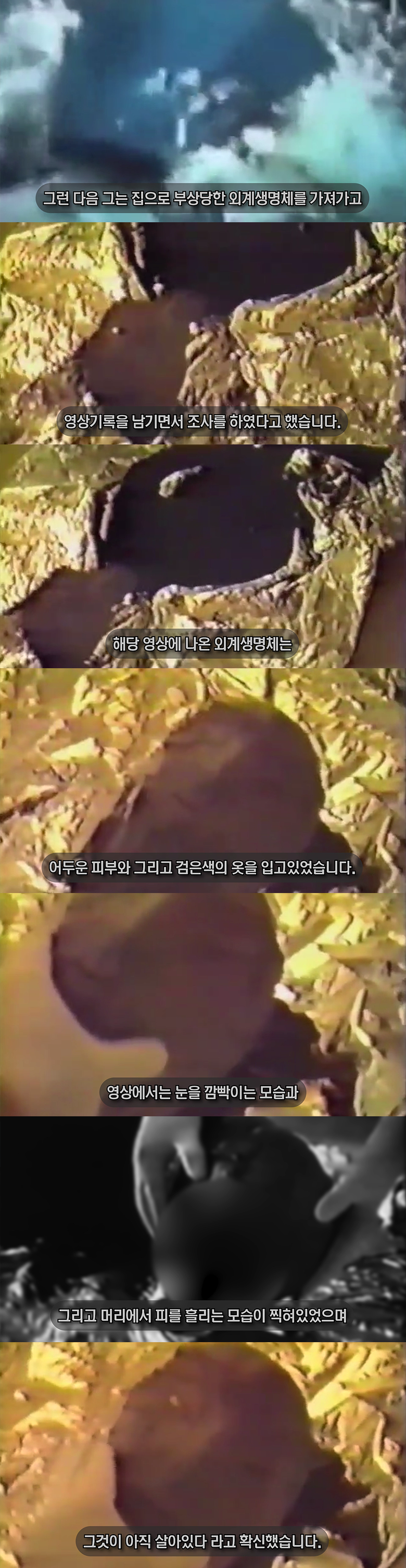 외계인을 통나무로 때려잡은 사건?! 영상 및 사진 공개 [열람주의] | 인스티즈