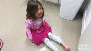 개알못이 생각한 웰시코기 크기와 실제크기.jpg | 인스티즈