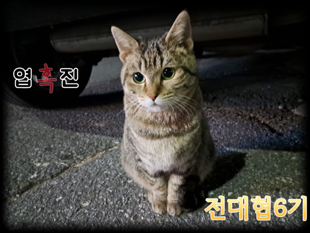 근무는 안서고 잠만 퍼자는 개찰구 역무원 | 인스티즈