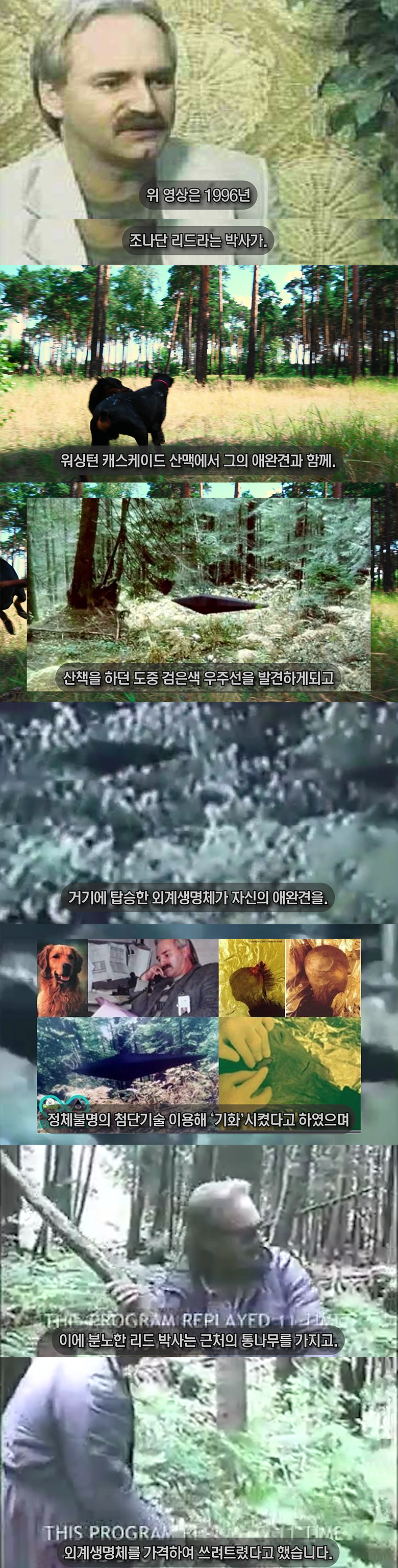 외계인을 통나무로 때려잡은 사건?! 영상 및 사진 공개 [열람주의] | 인스티즈