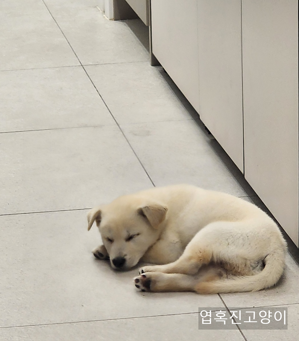 우리회사 복지자랑ㅎ | 인스티즈