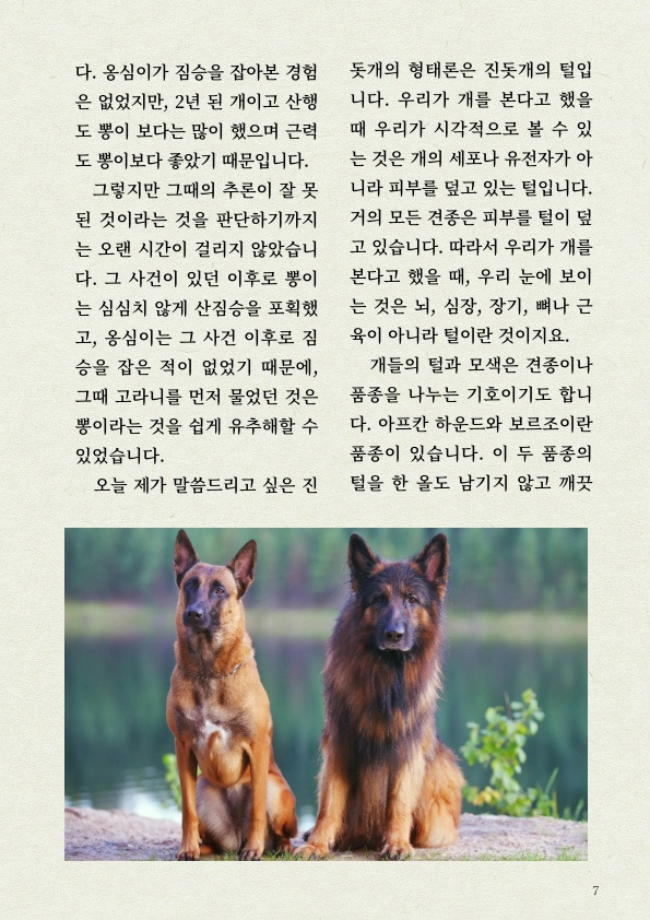 천재 진돗개의 '털' 감각 | 인스티즈