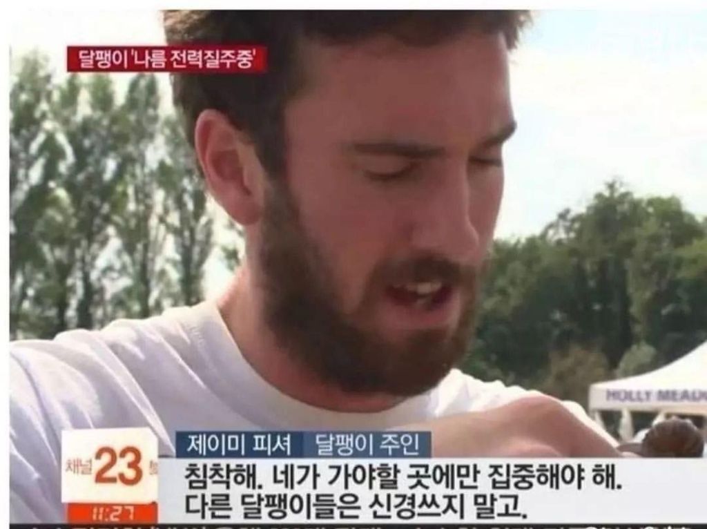 웃기면서도 묘하게 위로되는 말 | 인스티즈
