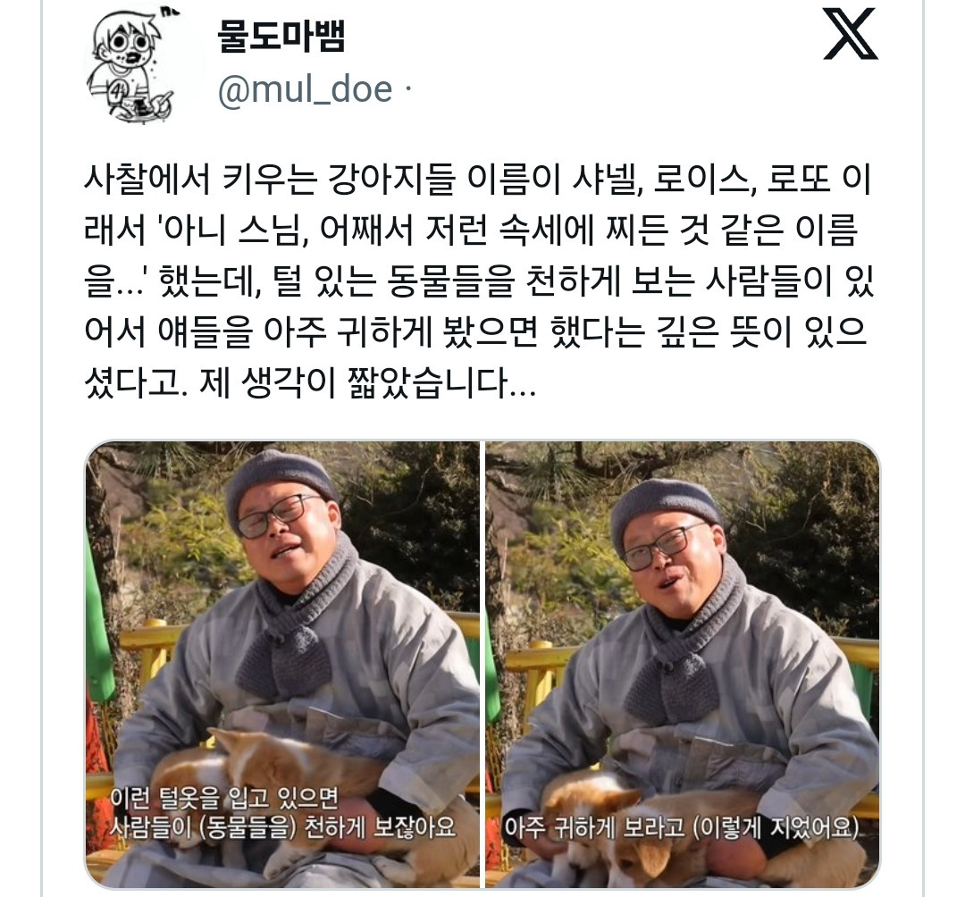 사찰에서 키우는 강아지들 이름이 샤넬, 로이스, 로또인 이유 | 인스티즈