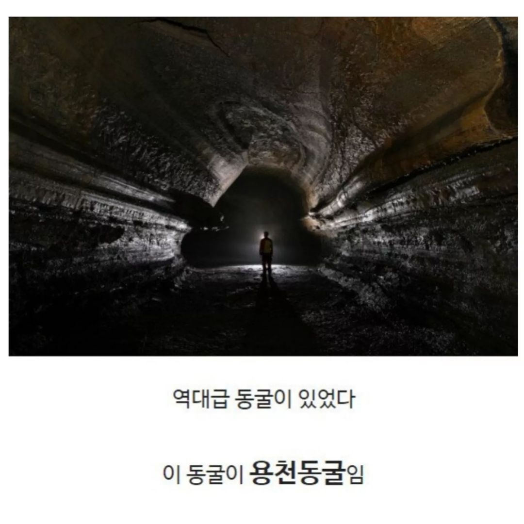 전신주 교체하다가 발견한 세계 | 인스티즈