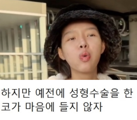 외국인들이 한국와서 성형하는 이유 | 인스티즈