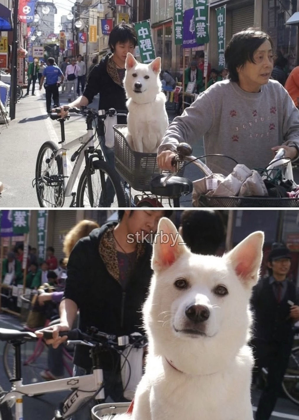 ??:당신은 무사히 사람으로 태어났구려 | 인스티즈