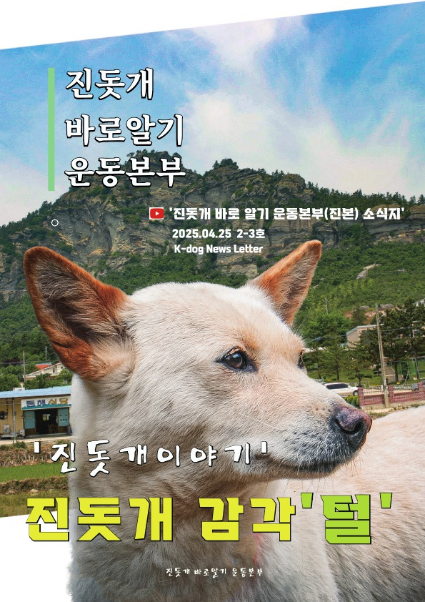 멧돼지 무리에 뛰어든 천재 '진돗개' | 인스티즈