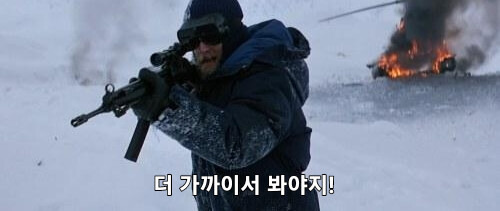 작은 강아지의 질주 | 인스티즈