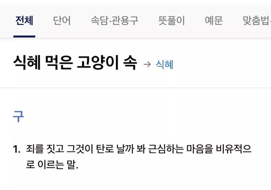 귀여운 고양이 속담 | 인스티즈