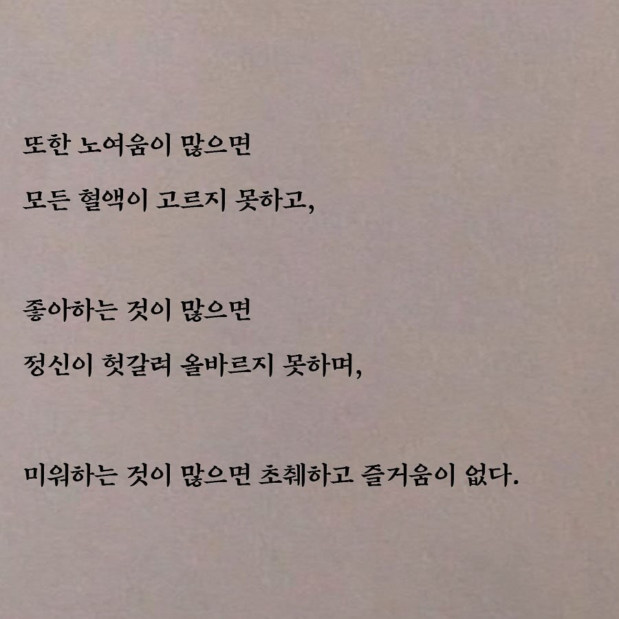 동의보감으로 받는 위로 | 인스티즈