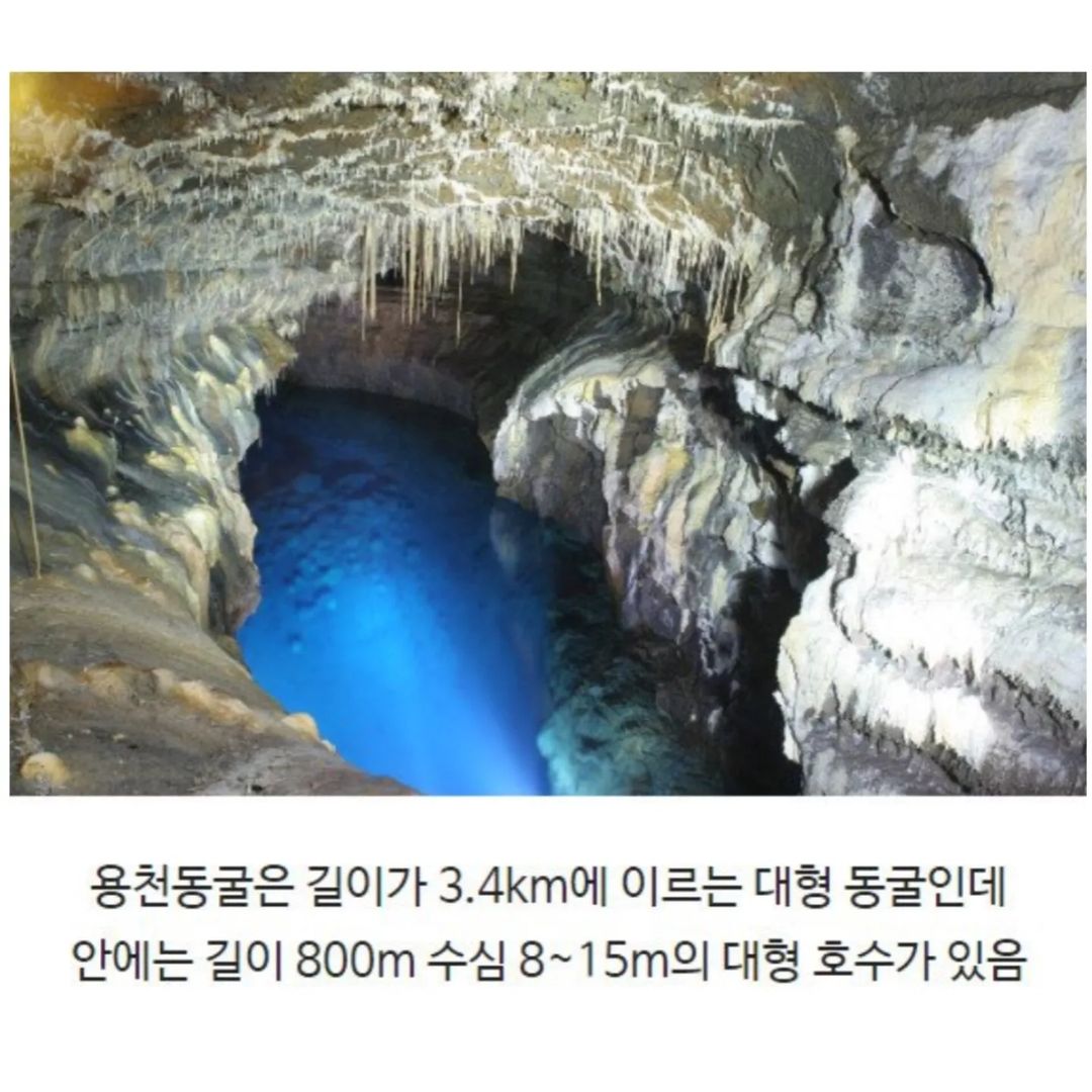 전신주 교체하다가 발견한 세계 | 인스티즈