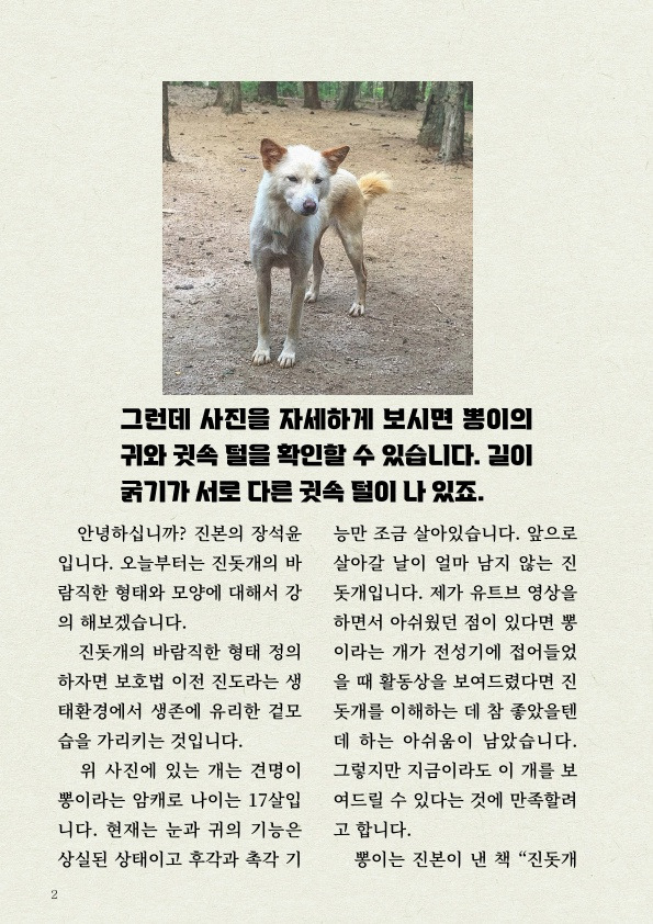 '진돗개' 타고난 감각 지능 | 인스티즈