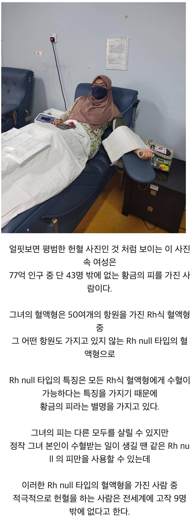 Daum 카페