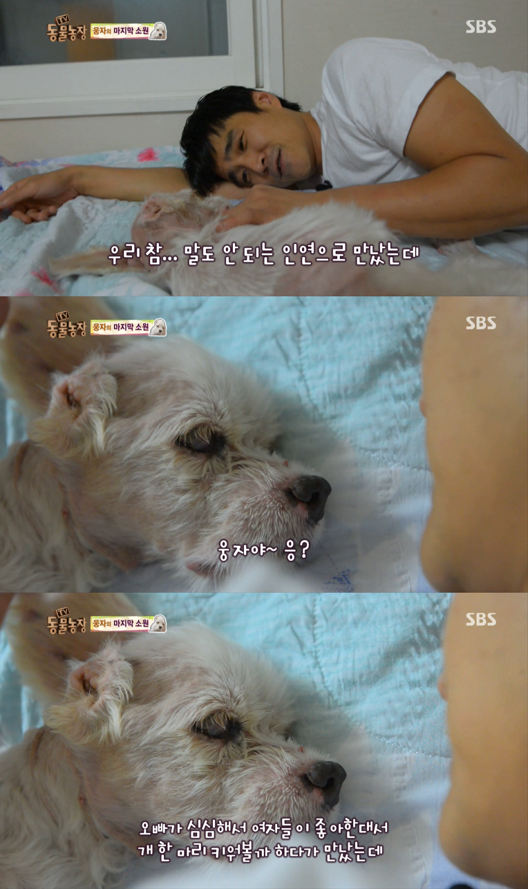 동물농장이 낳은 스타강아지 웅자, 그 후의 이야기 - 악플달면... 차분한 20대들의 알흠다운 공간 동물농장이 낳은 스타강아지 웅자, 그 후의 이야기