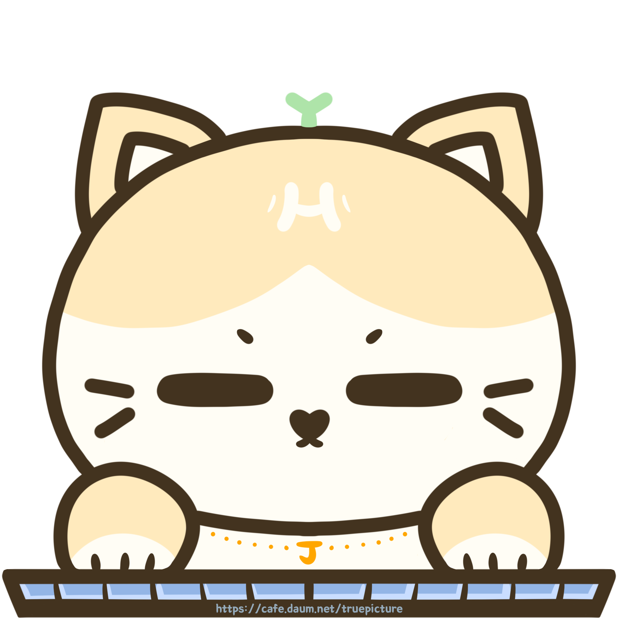 제주도 인심