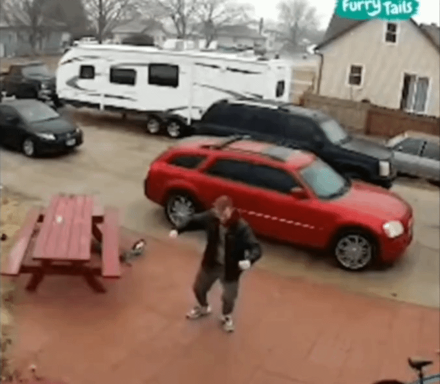 강아지와 빙판길을 올라가는 방법 | 인스티즈