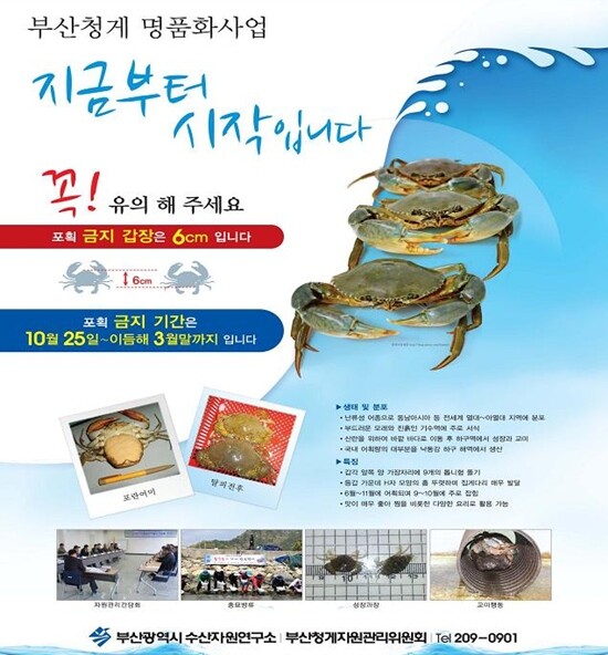 생태계 교란종 근황 | 인스티즈