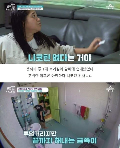 저번주 금쪽이 레전드 | 인스티즈
