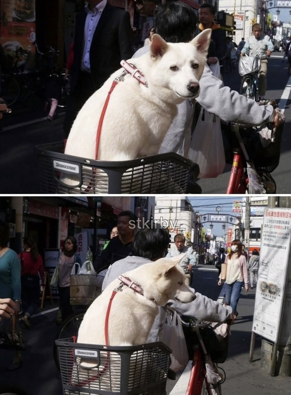 ??:당신은 무사히 사람으로 태어났구려 | 인스티즈