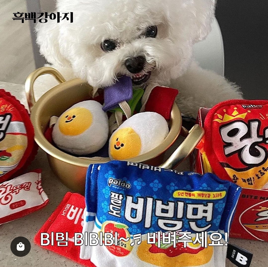 반려견 용품 시장이 얼마나 트렌드에 민감한지 증명해 보겠습니다 feat.흑백요리사 | 인스티즈