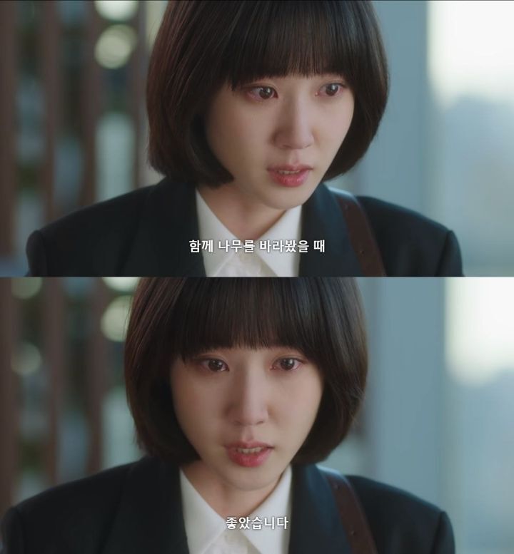 우영우ㅅㅍ) 이번화 팽나무가 상징적인 이유 | 인스티즈