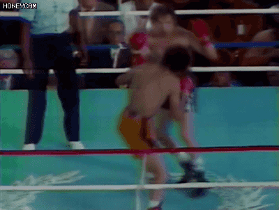 전세계 복싱계에 충격을 준 비극적인 사건 | 인스티즈