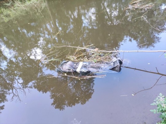 나체로 발견되는 여성 시신들의 정체 | 인스티즈