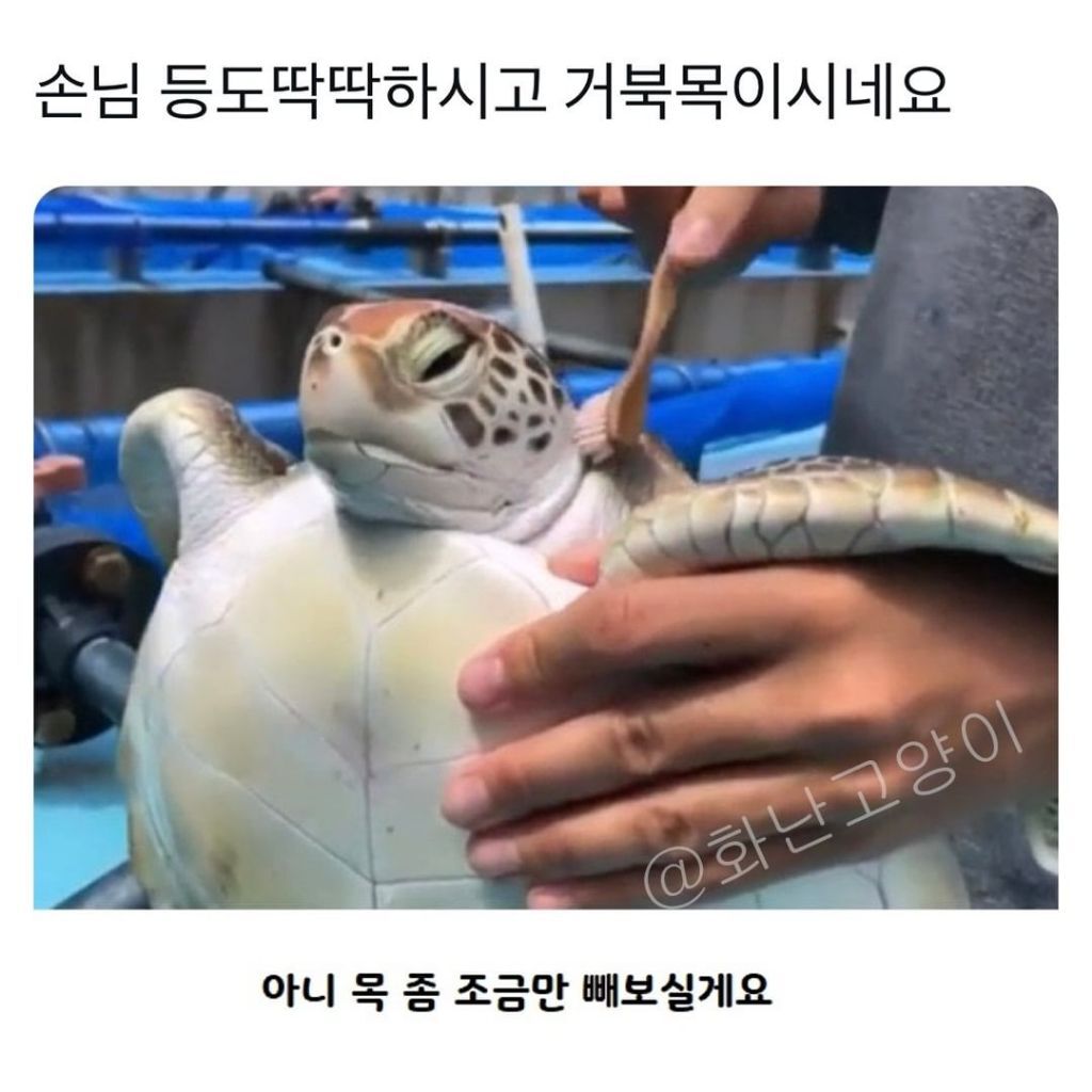 필라테스하는 내 모습 | 인스티즈