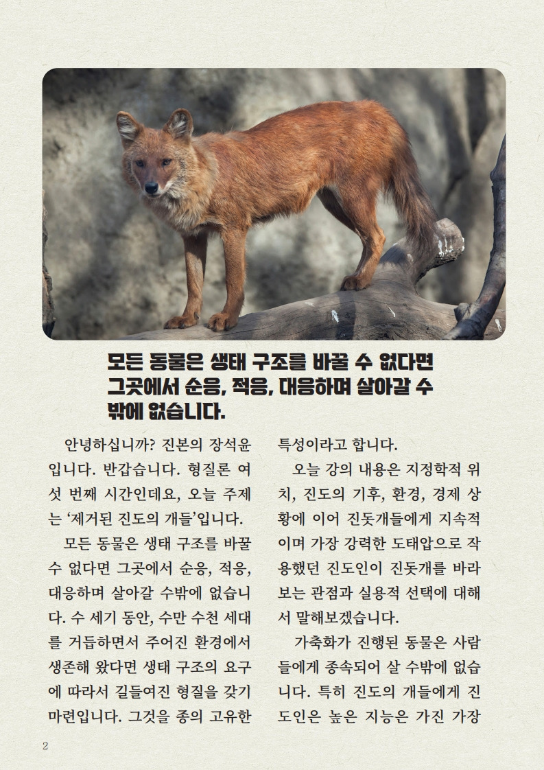 냉혹한 생존 환경 그리고 '제거된 진돗개' | 인스티즈