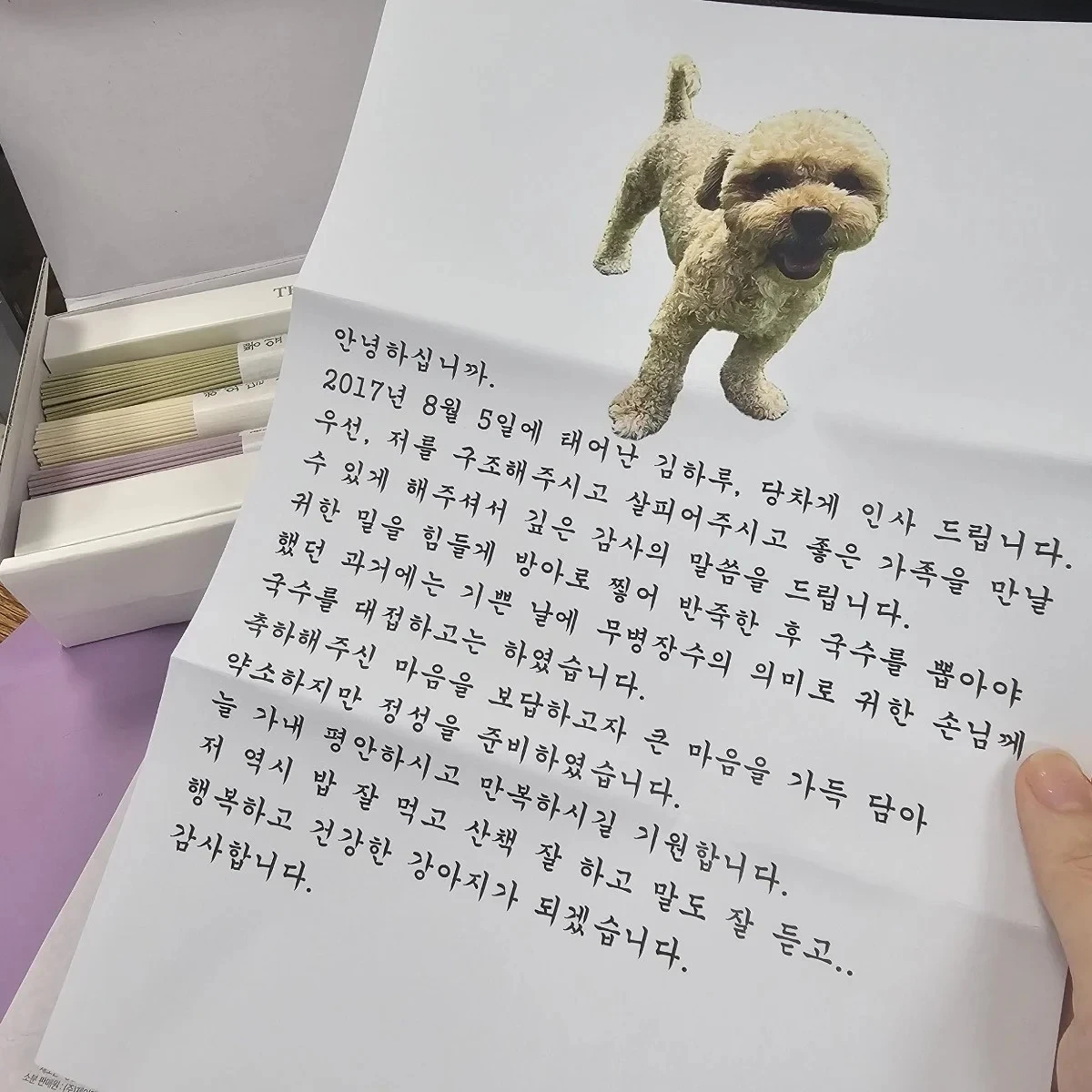 임보하다가 입양간 강아지에게서 편지가 왔다.jpg | 인스티즈