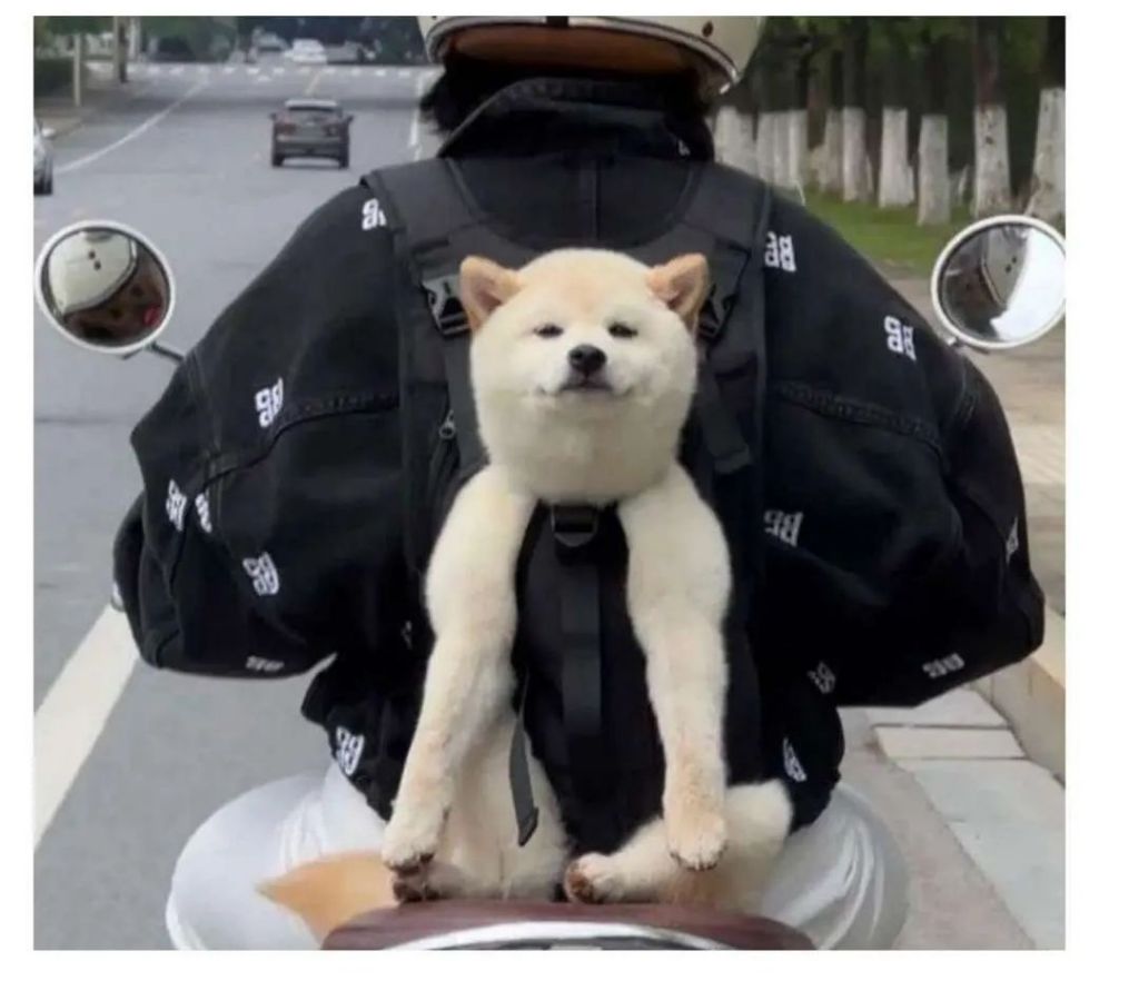 도로에서 만난 미소천사 | 인스티즈