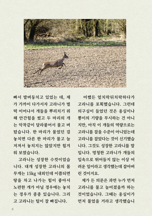 천재 진돗개의 '털' 감각 | 인스티즈
