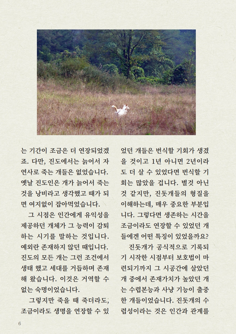 냉혹한 생존 환경 그리고 '제거된 진돗개' | 인스티즈